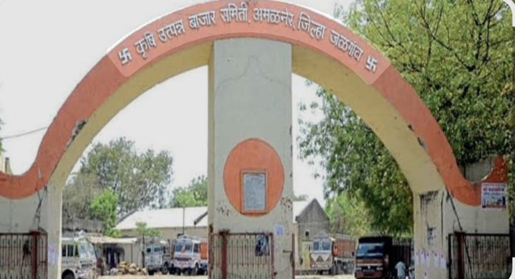 शेतकऱ्यांसाठी दिलासादायक चित्र; अमळनेर बाजारातील ताजे भाव अपडेट